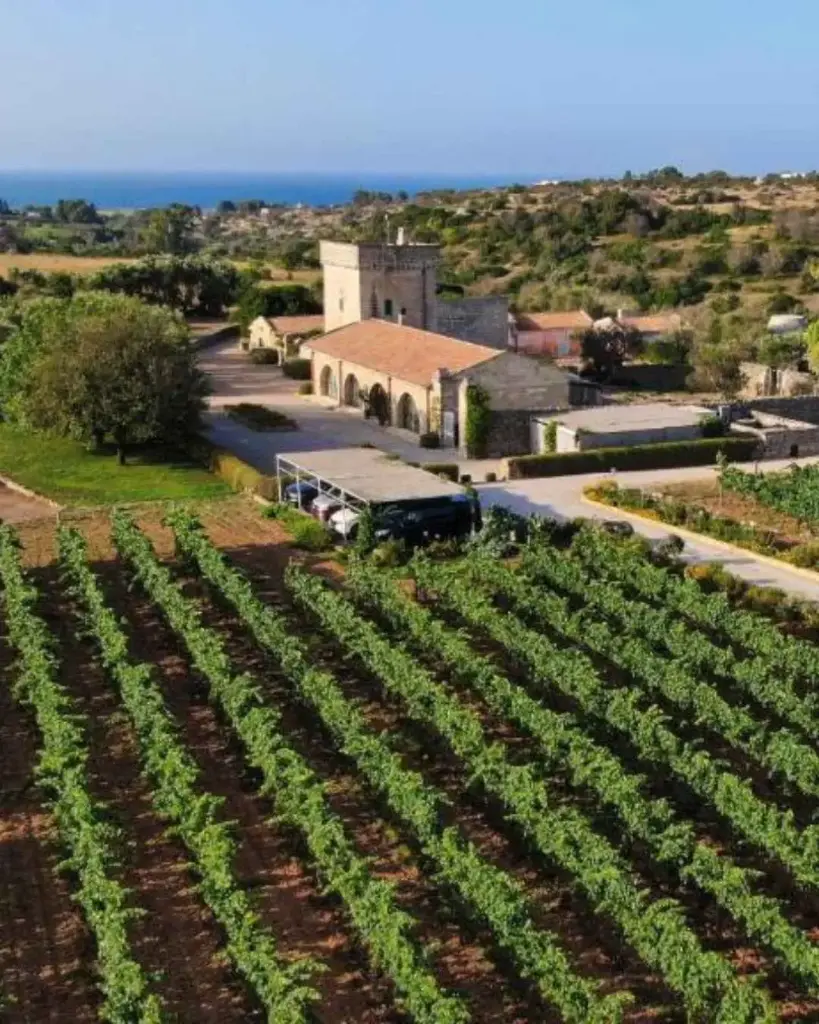Italy, Apulia, Masseria Fano - Wine Tasting