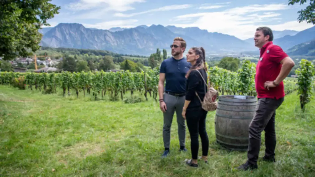 Switzerland, Grisons, From Maienfeld - Wine Hike in Grisons