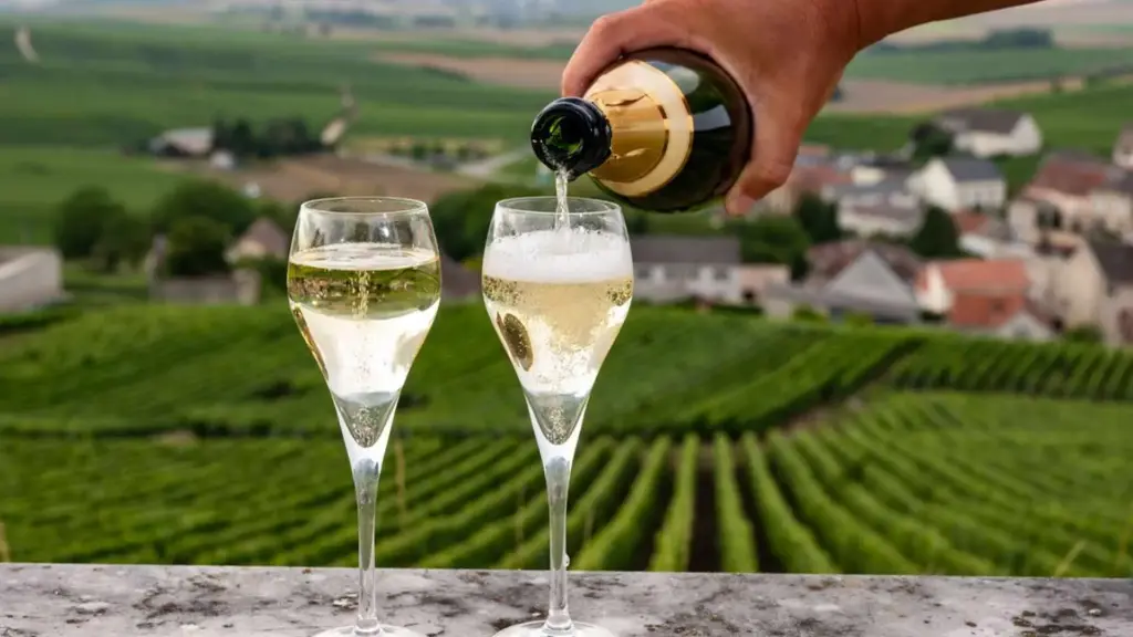 Portugal, Douro, From Porto - Douro Wine & Sparkling Tour