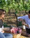 Italy, Apulia, Cantina Petrelli - Pic-nic in the vineyards