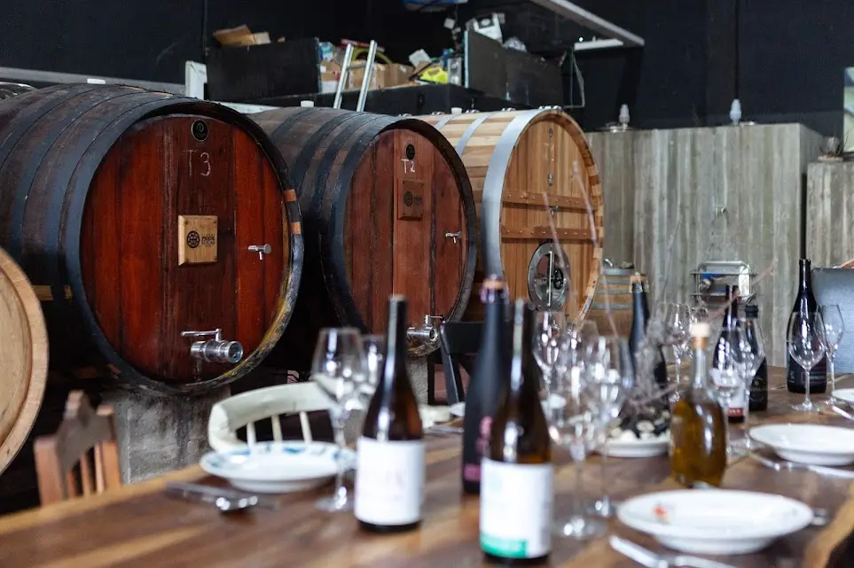 Portugal, Bairrada, Prior Lucas Wines - REGIONAL LUNCH