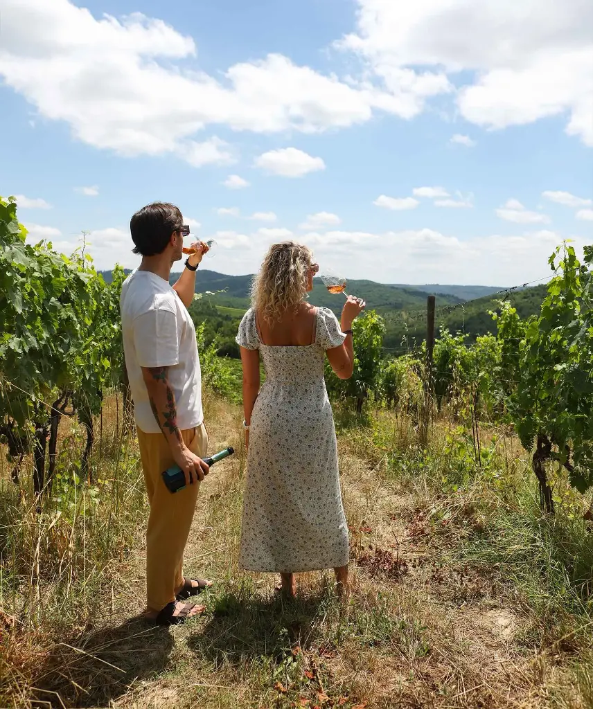 Italy, Tuscany, Castello di Meleto - Castle Tour & Wine Tasting