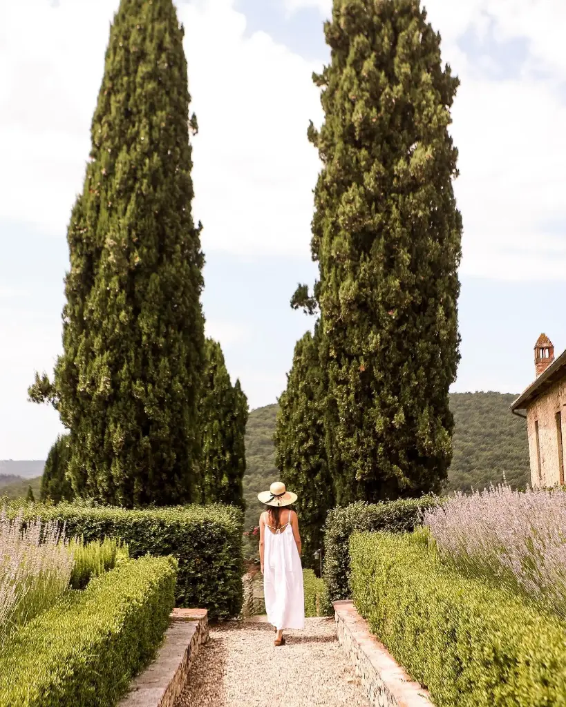 Italy, Tuscany, Castello di Meleto - Castle tour with wine tasting paired with a light lunch