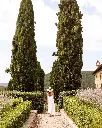 Italy, Tuscany, Castello di Meleto - Castle tour with wine tasting paired with a light lunch