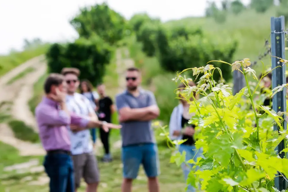 Italy, Tuscany, Poggio del Moro Boutique Winery - Tour And Wine Tasting Signature