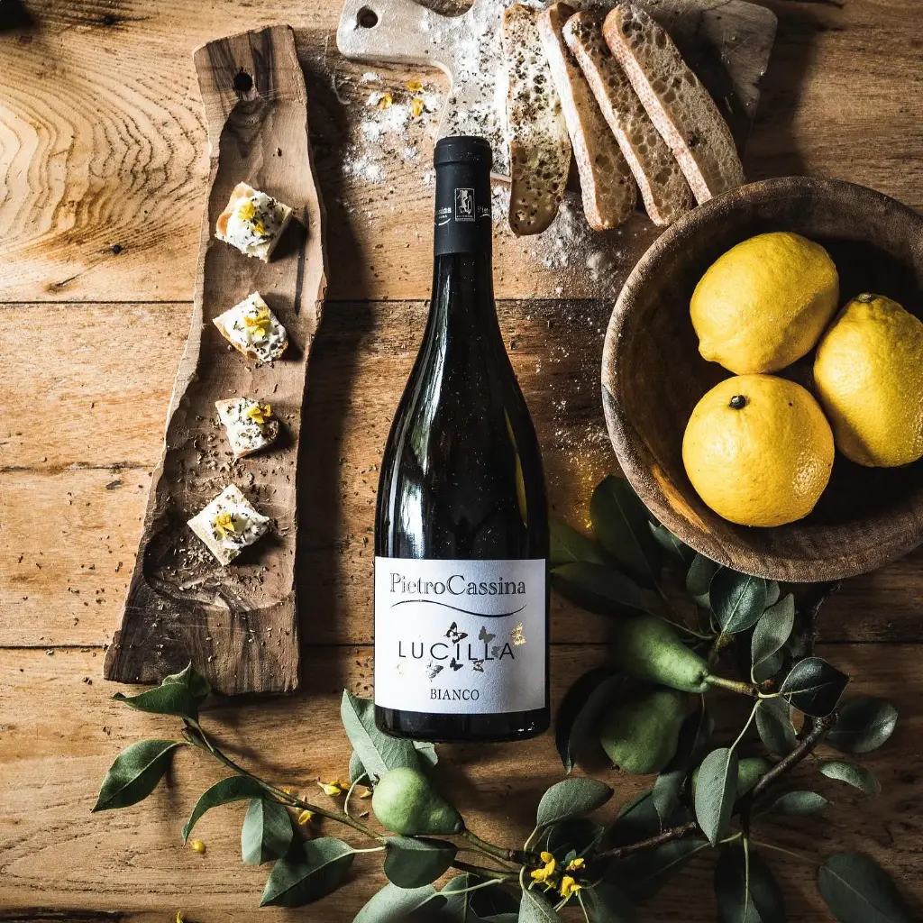 Italy, Piedmont, Pietro Cassina - Lessona Vertical Tasting