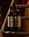Italy, Veneto, Cantina Spada - Discover (Tour & Tasting)