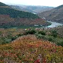 Portugal, Douro, Quinta do Jalloto - Douro Wine Flight