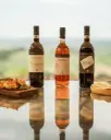 Italy, Tuscany, Pietraserena - Tasting of 3 wines with Tour of Vineyards and Cellar