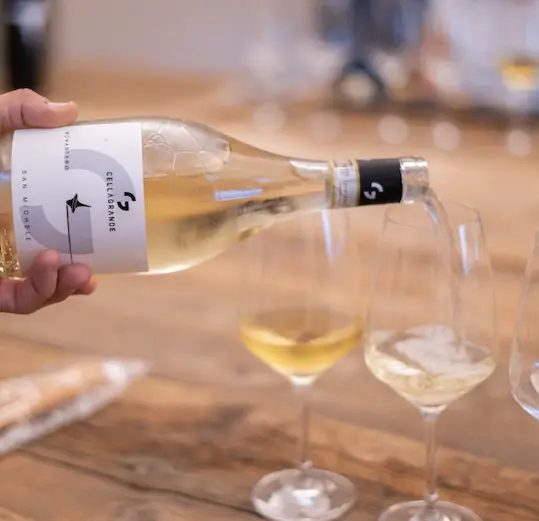 Italy, Piedmont, Cella Grande - Silver Wine tasting