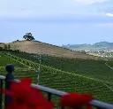 Italy, Piedmont, Agricola Gian Piero Marrone - The 3 wines Tasting