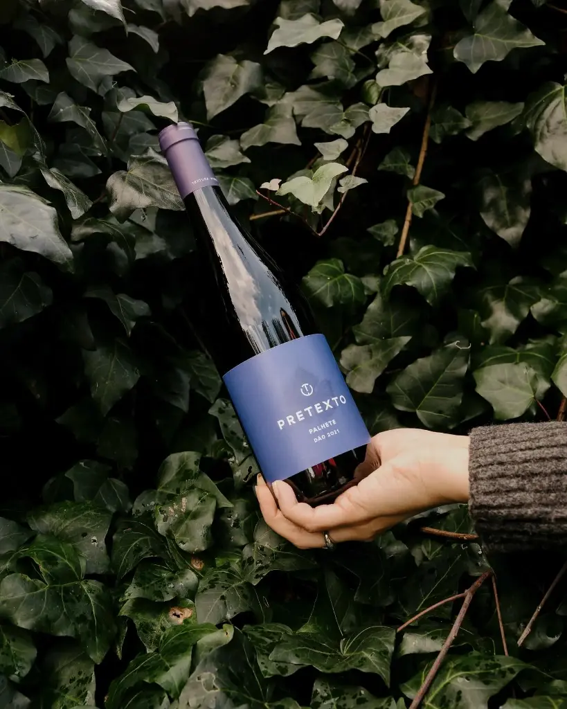 Portugal, Dao, Textura Wines - Tasting Terroir with visit the winery