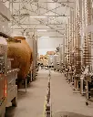 Portugal, Dao, Textura Wines - Tasting Textura with visit the winery