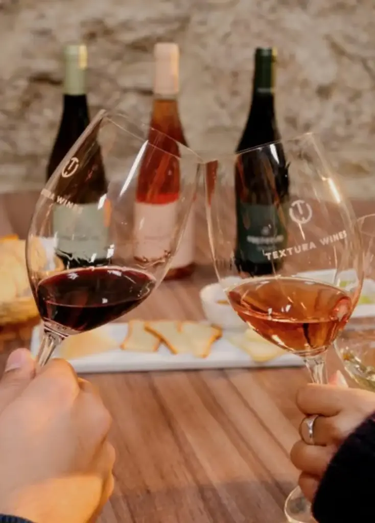 Portugal, Dao, Textura Wines - Tasting "Pretexto" with visit the winery