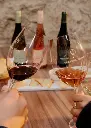 Portugal, Dao, Textura Wines - Tasting "Pretexto" with visit the winery