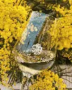 Italy, Veneto, Tenuta La Presa - Napoleone - Wine Experience
