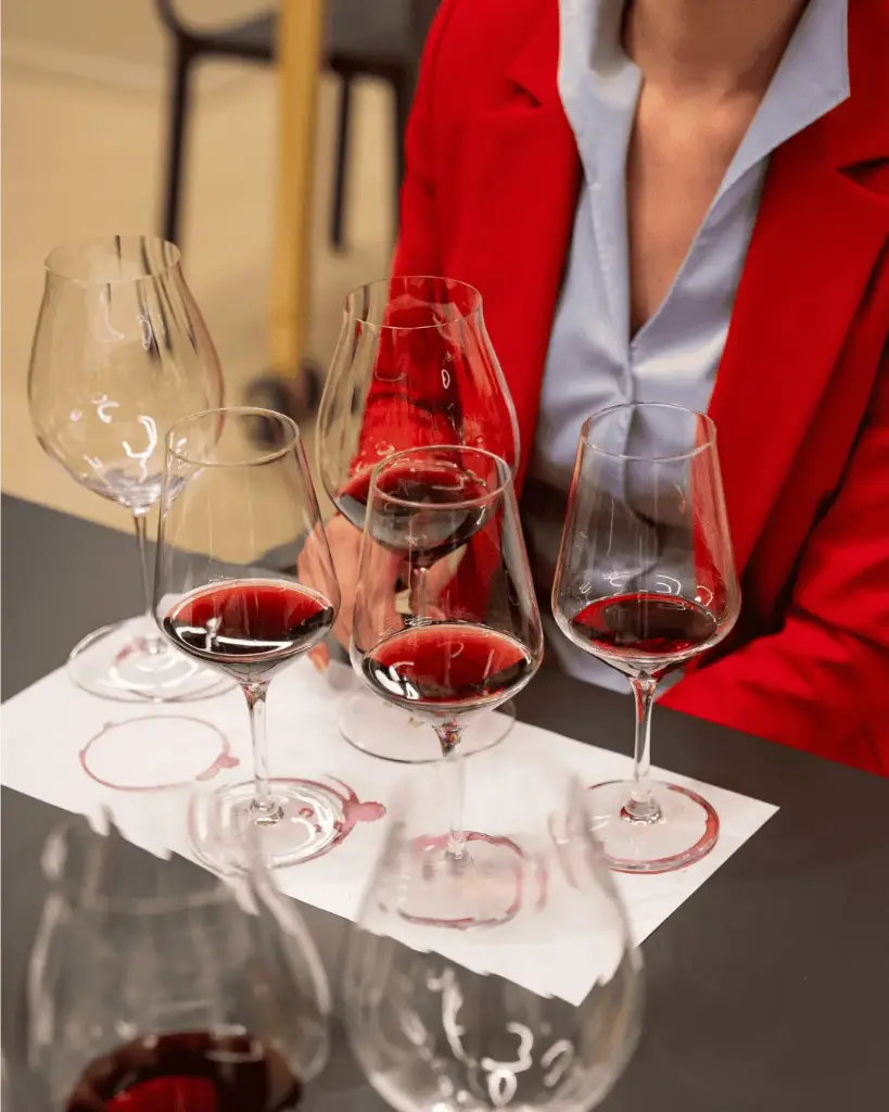 Italy, Veneto, Cantine Giacomo Montresor - Valpolicella in the glass