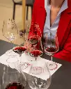 Italy, Veneto, Cantine Giacomo Montresor - Valpolicella in the glass
