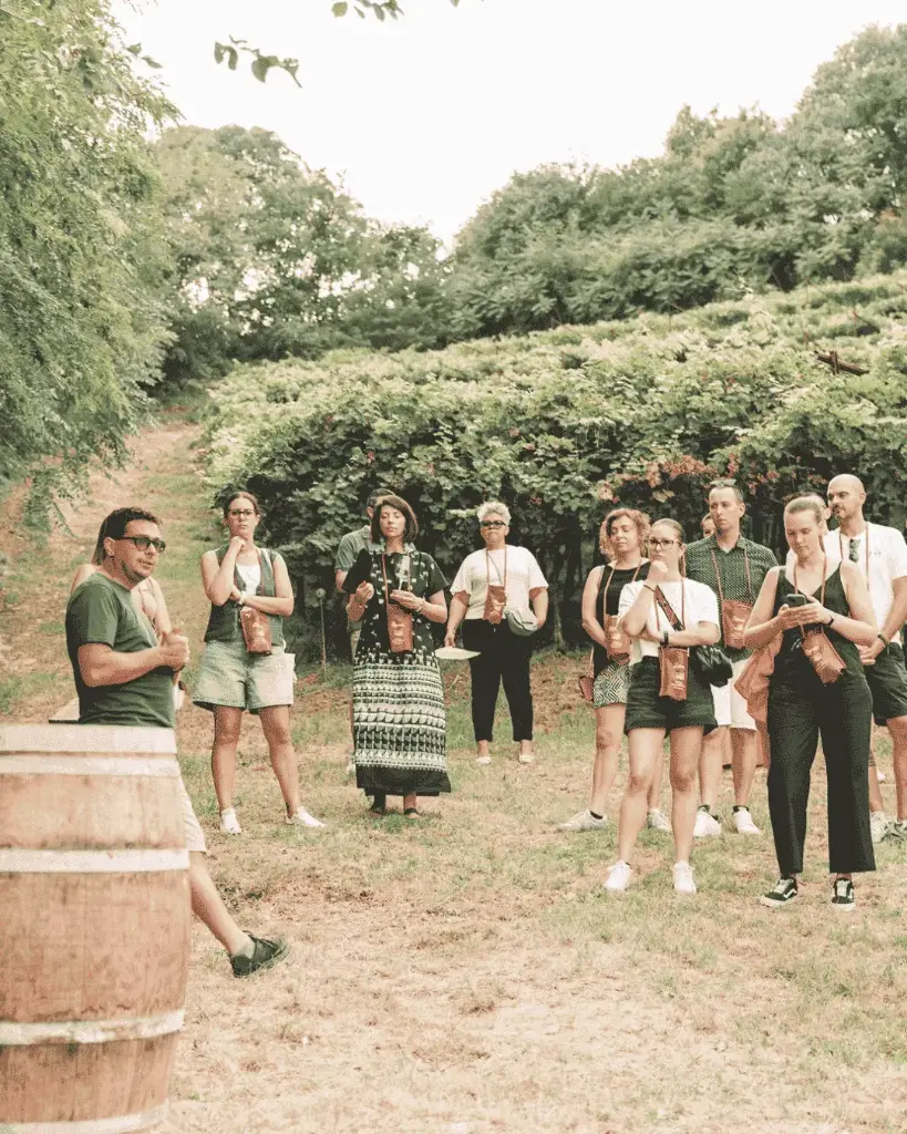 Italy, Veneto, Cantina Pegoraro - Extra Taste