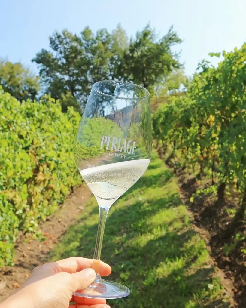 Italy, Veneto, Perlage Winery - Visit to the winery, tasting and local products pairing