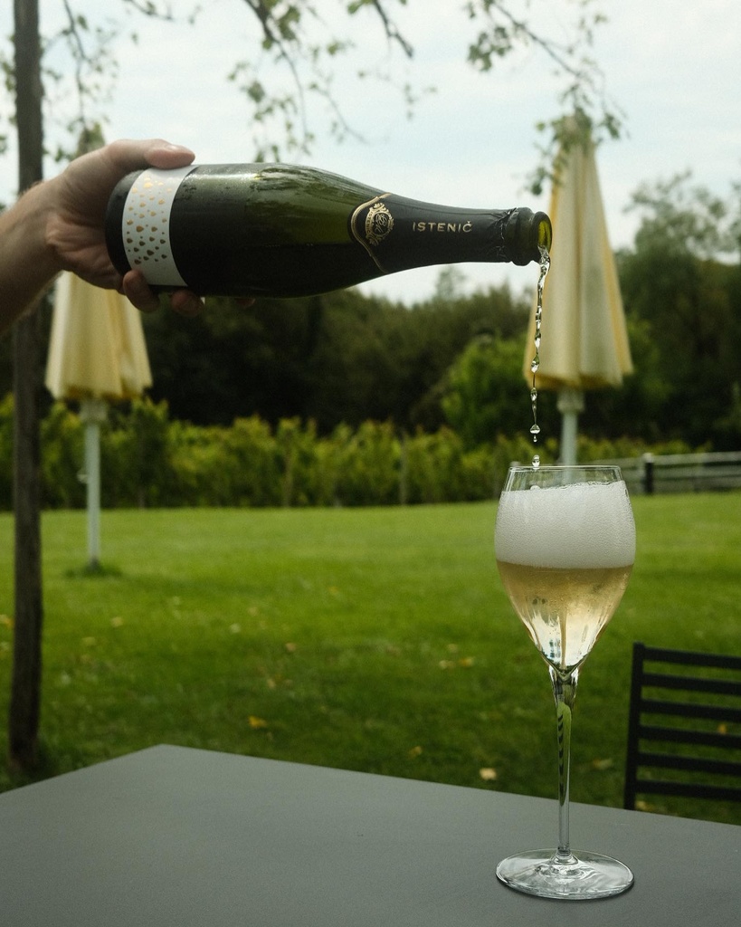 Slovenia, Bizeljsko-Sremič, Istenic: A journey of Bubbles and Brilliance