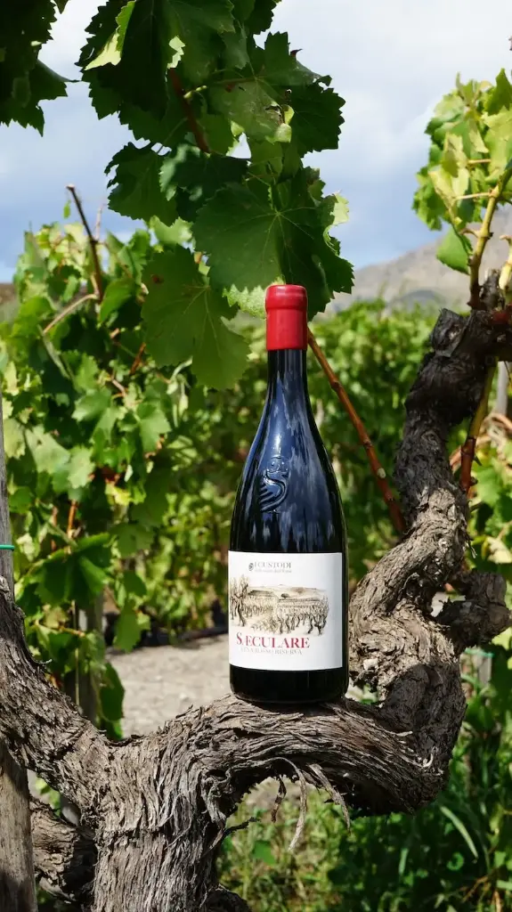 Italy, Sicily, I Custodi delle Vigne dell'Etna - Wine experience