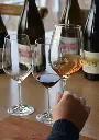 Italy,Sicily,I Custodi delle Vigne dell'Etna - Lunch and wine tasting