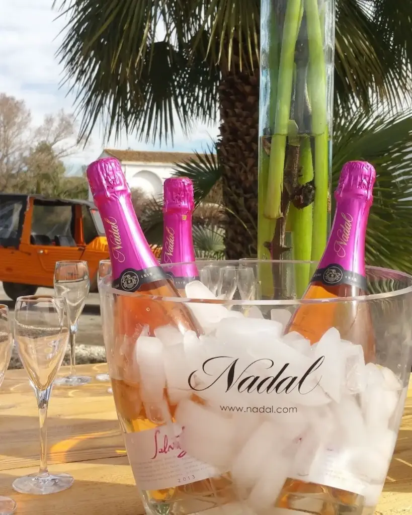 Spain, Catalonia, Caves Nadal - Visit With Wine Tasting