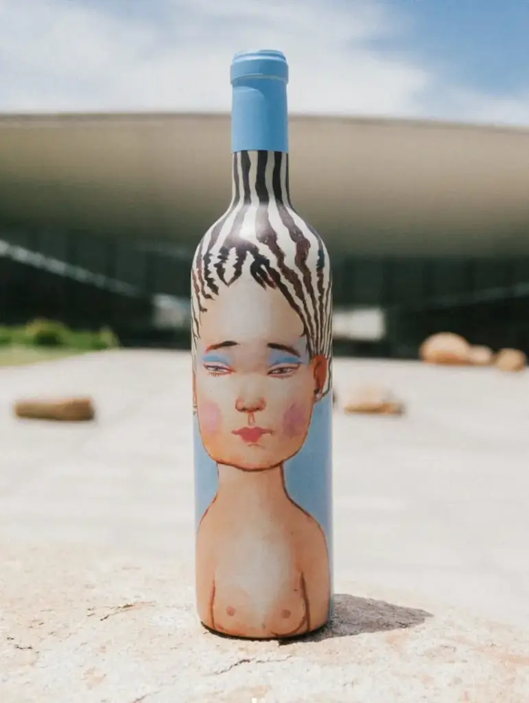 Chile, Millahue Valley region, VIK Winery - VIK Experience 