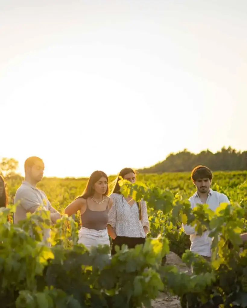 Spain, Catalonia, Vins El Cep - Visit Vins El Cep