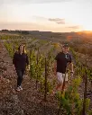 Spain, Catalonia, Clos Galena - Discover the magic of Clos Galena