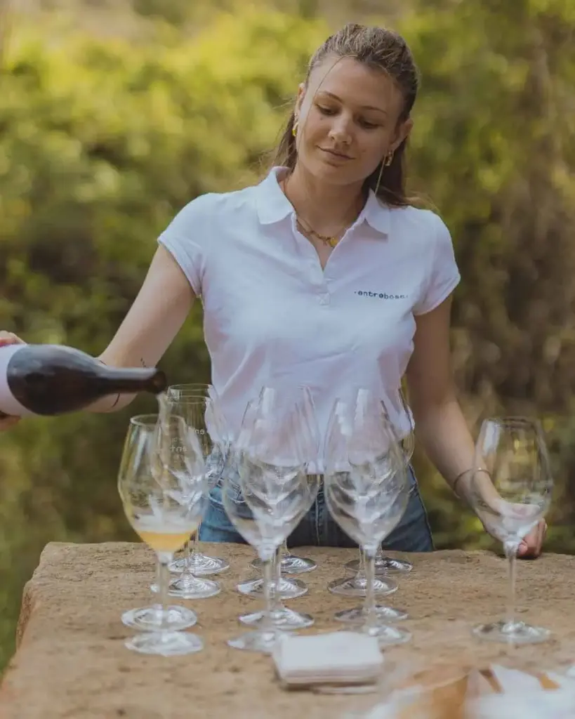 Spain, Catalonia, Entrebosc - Wine & Heritage