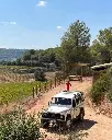 Spain, Catalonia, Joan Segura Pujadas - In The Heart Of The Terroir