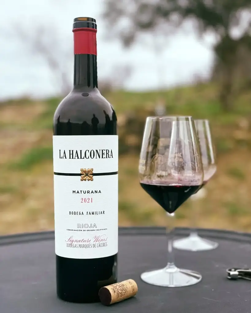 Spain, Rioja, Bodegas Marques de Caceres - Vip Visit