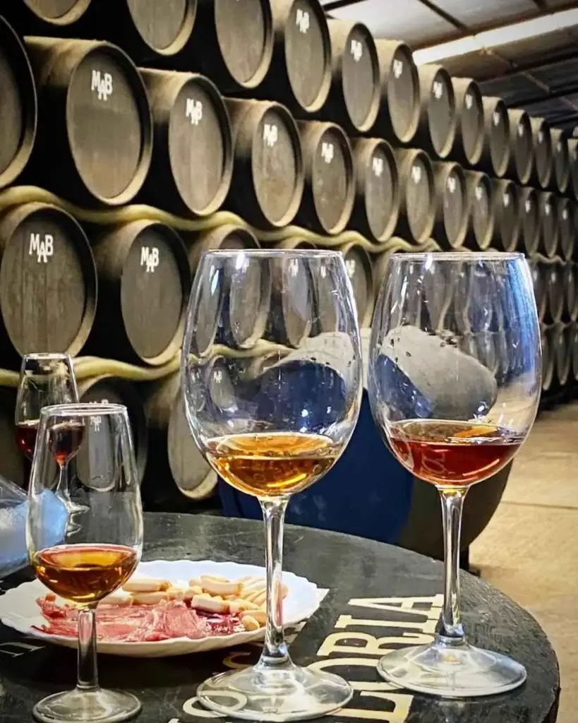 Spain, Andalusia, Bodega Manuel Aragon - Standard Visit