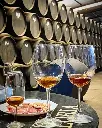 Spain, Andalusia, Bodega Manuel Aragon - Standard Visit