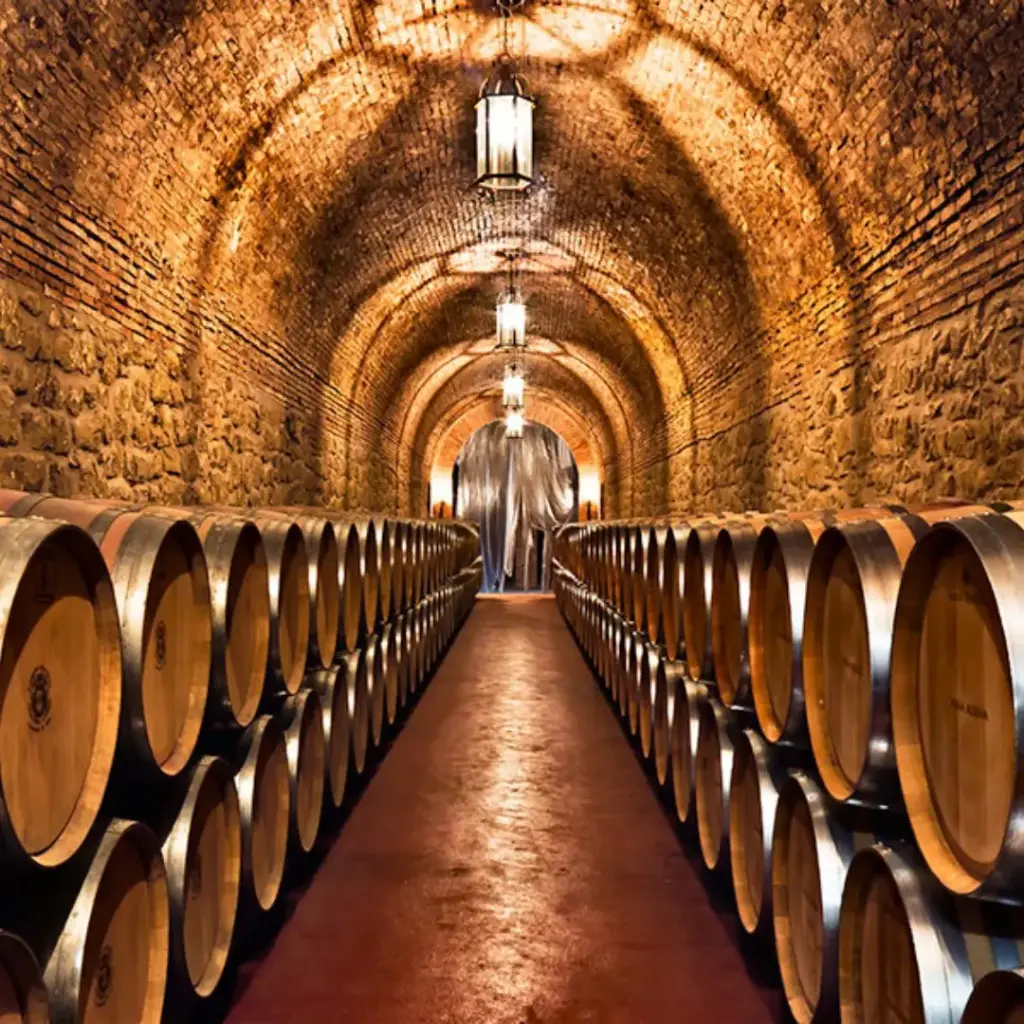 Spain, Rioja, Bodegas Riojanas - Sensation Visit and Tasting