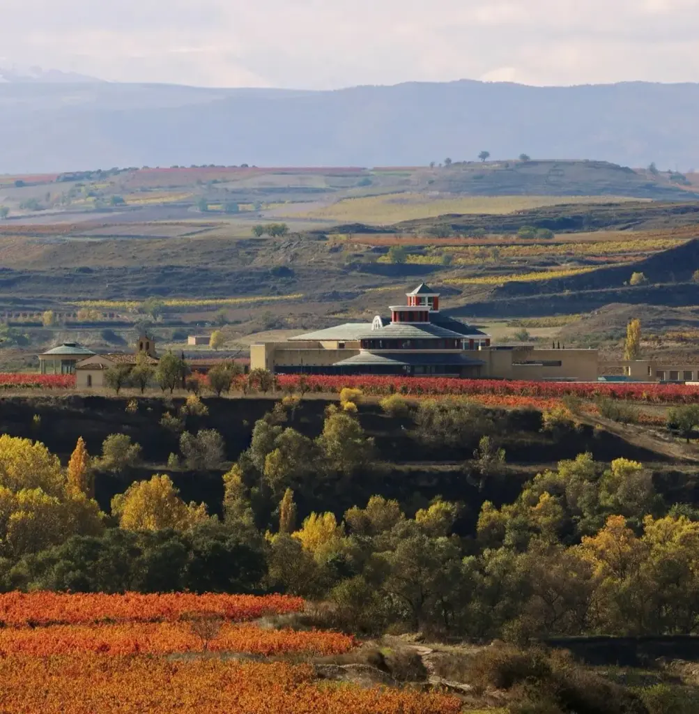 Spain, Rioja, Vivanco - Unguided Museum Visit and Winery Tour