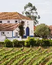 Portugal, Lisboa, Quinta do Olival da Murta - Tasting honest wines