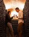 Spain, Castilla and Leon, Bodegas De Alberto - Premium Wine Tour "All you need is gold"