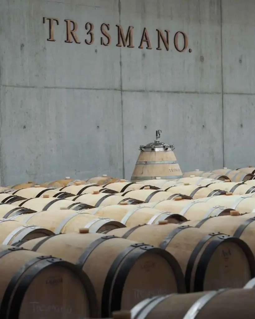 Spain, Castilla and Leon, Bodega Tr3smano - Visit and Tasting at Bodega Tr3smano