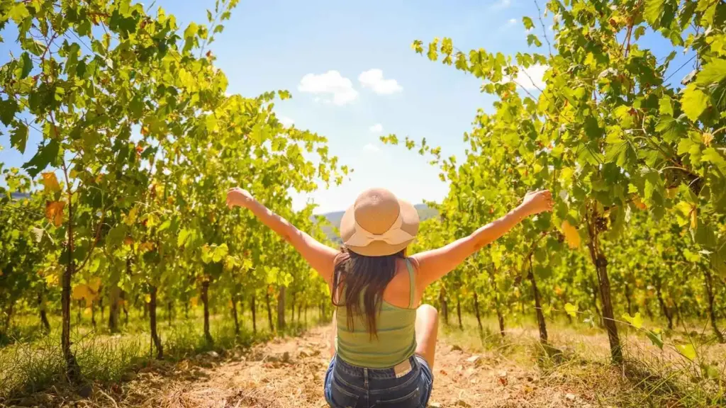 Italy, Tuscany, From Florence - Chianti Vineyards Escape From Florence With Two Wine Tastings