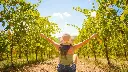 Italy, Tuscany, From Florence - Chianti Vineyards Escape From Florence With Two Wine Tastings