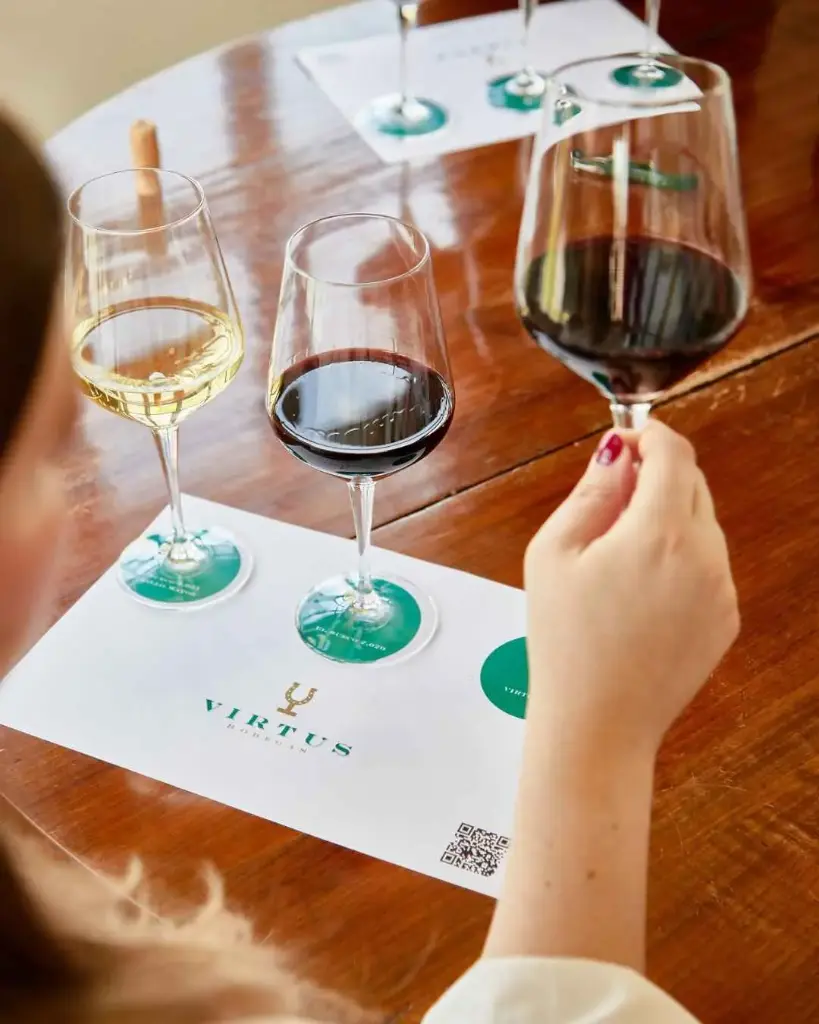 Spain, Castilla and Leon, Bodegas Virtus - The Virtus Wine Experience