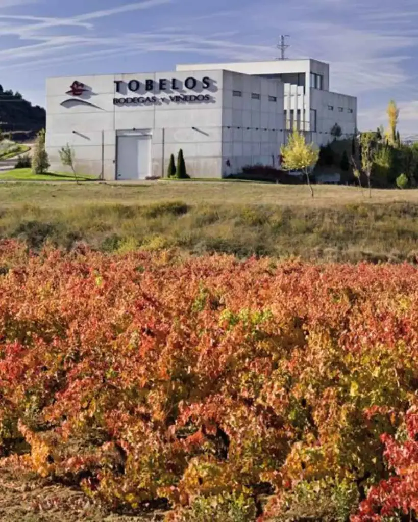 Spain, Rioja, Bodegas Tobelos - Discover Tobelos