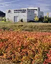 Spain, Rioja, Bodegas Tobelos - Discover Tobelos