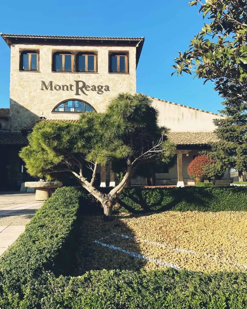 Spain, Castilla-La Mancha, Mont Reaga - Essence of Mont Reaga