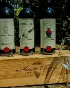 Italy, Tuscany, MonteChiaro - TASTE THROUGH 4 VINTAGES OF OUR TOP SUPERTUSCAN