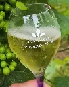 France, Champagne, Champagne Rédempteur - Champagne Heritage and Tradition