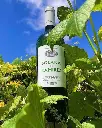 Spain, Rioja, Bodegas Solana De Ramirez -  Wine tasting